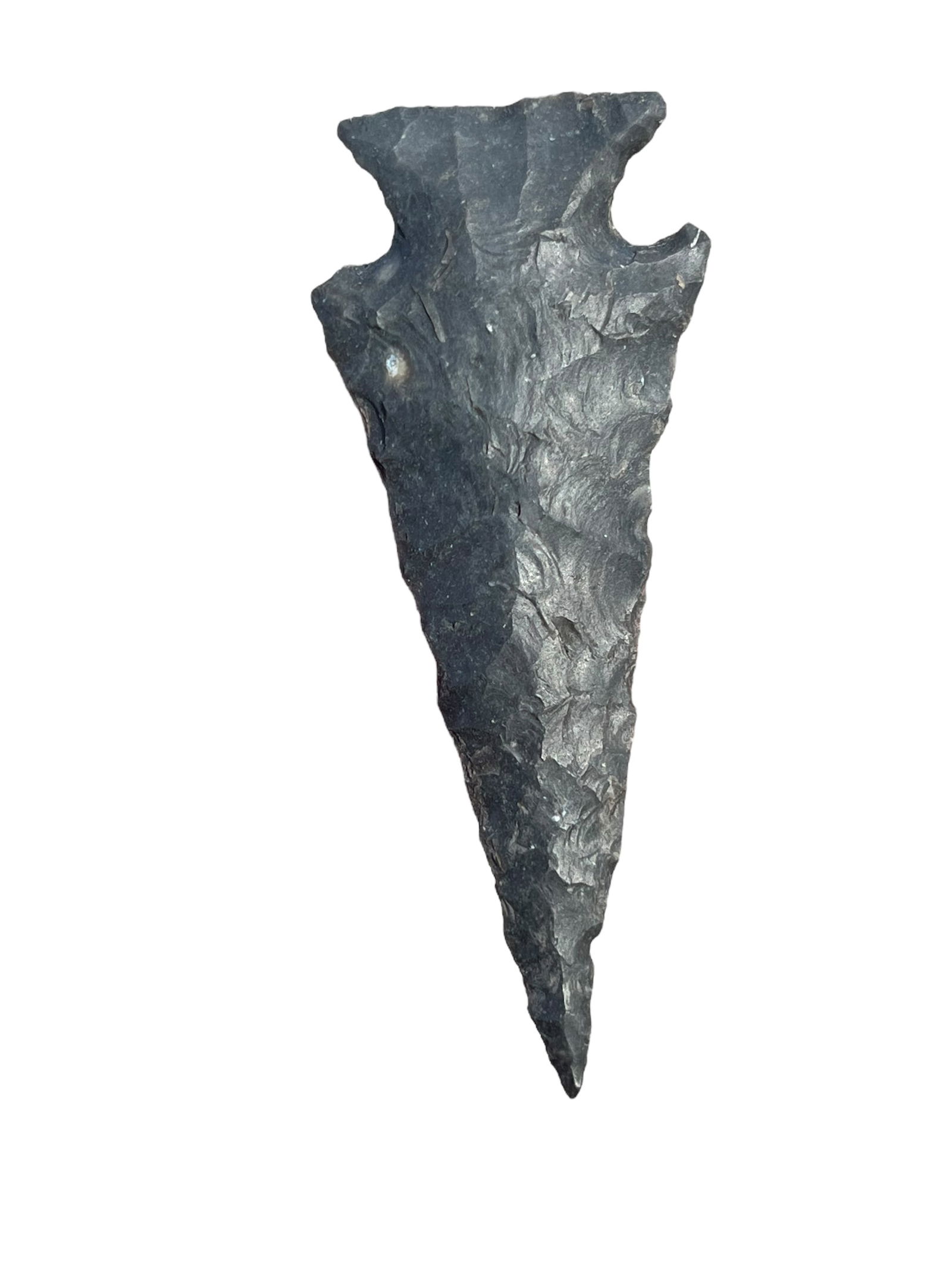 Ensor Arrowhead. Texas (1 of 3)