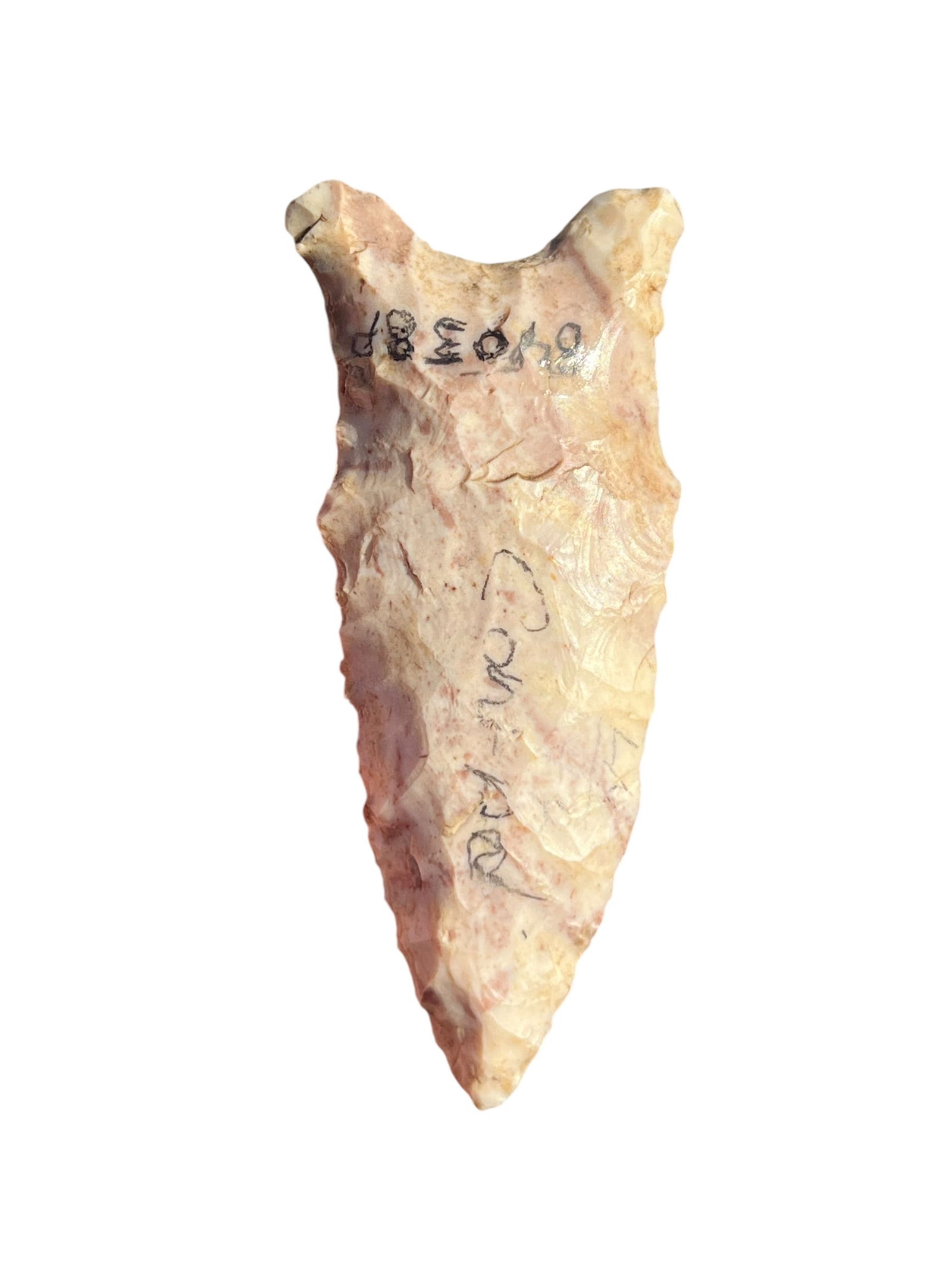 Dalton Arrowhead. Missouri (1 of 3)