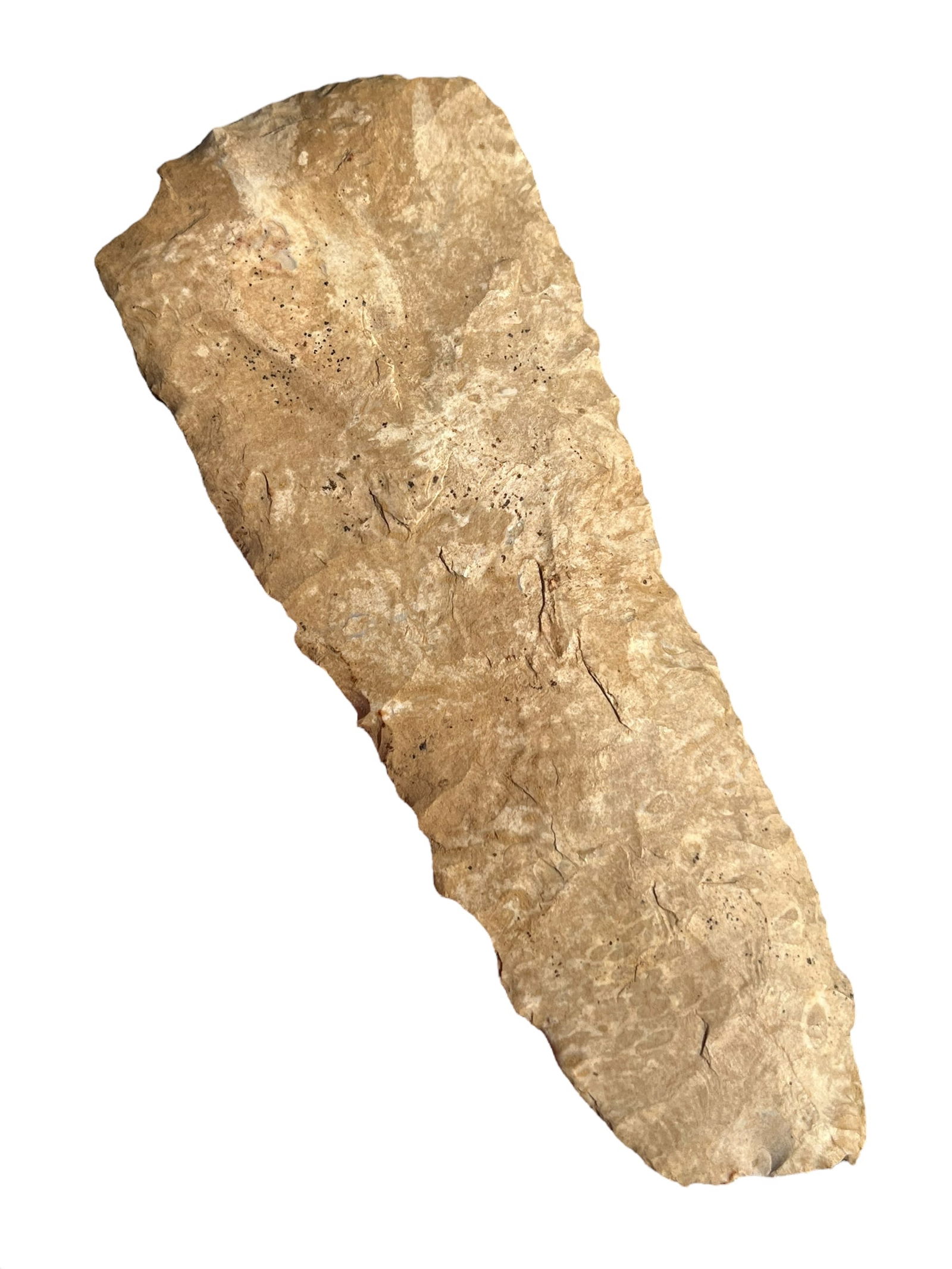 Large 5 1/4" Ft. Payne Blade Arrowhead (1 of 4)