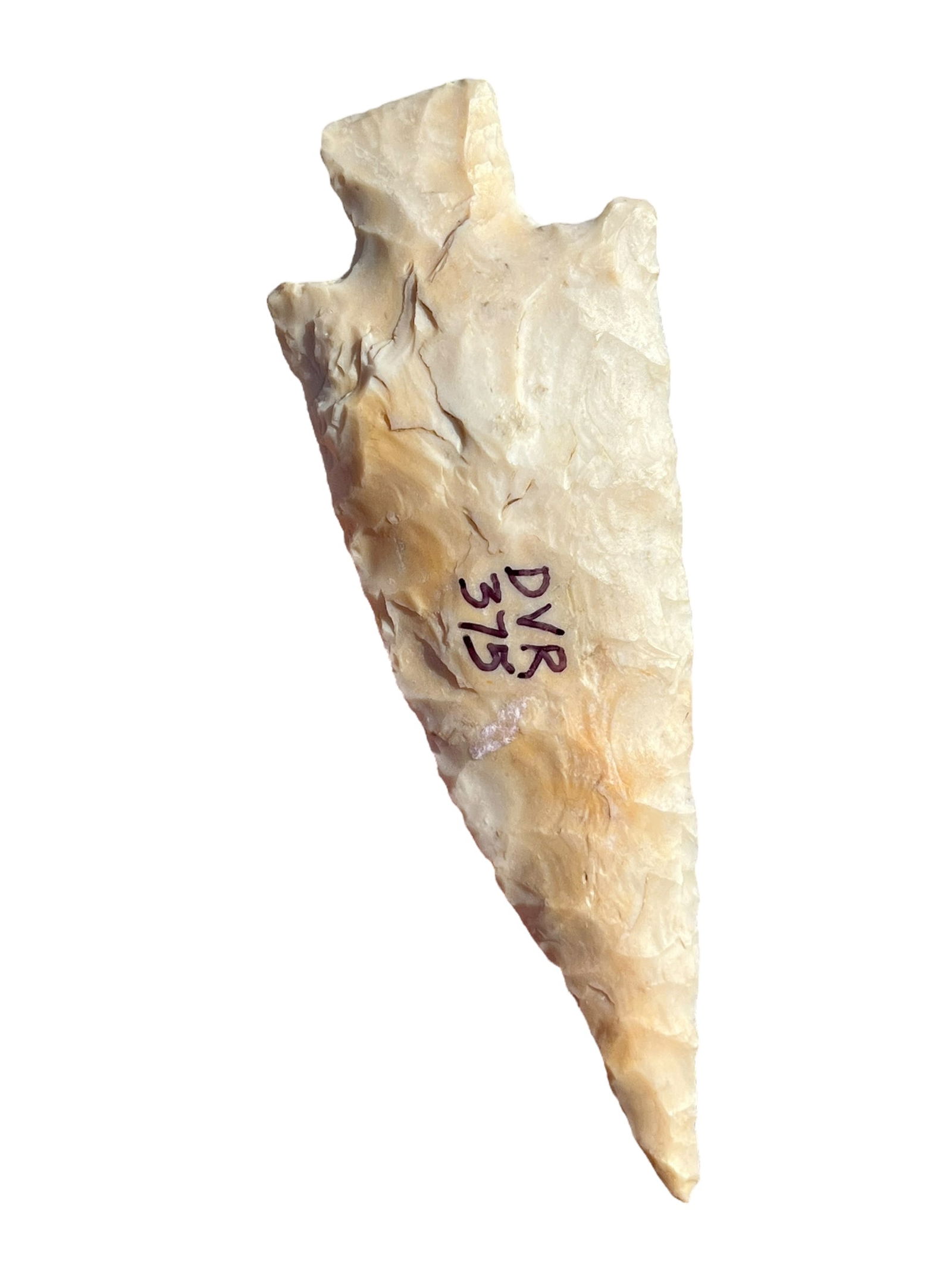 Davis COA. Minnesota Delhi Arrowhead. Ex Dale Rector (1 of 5)