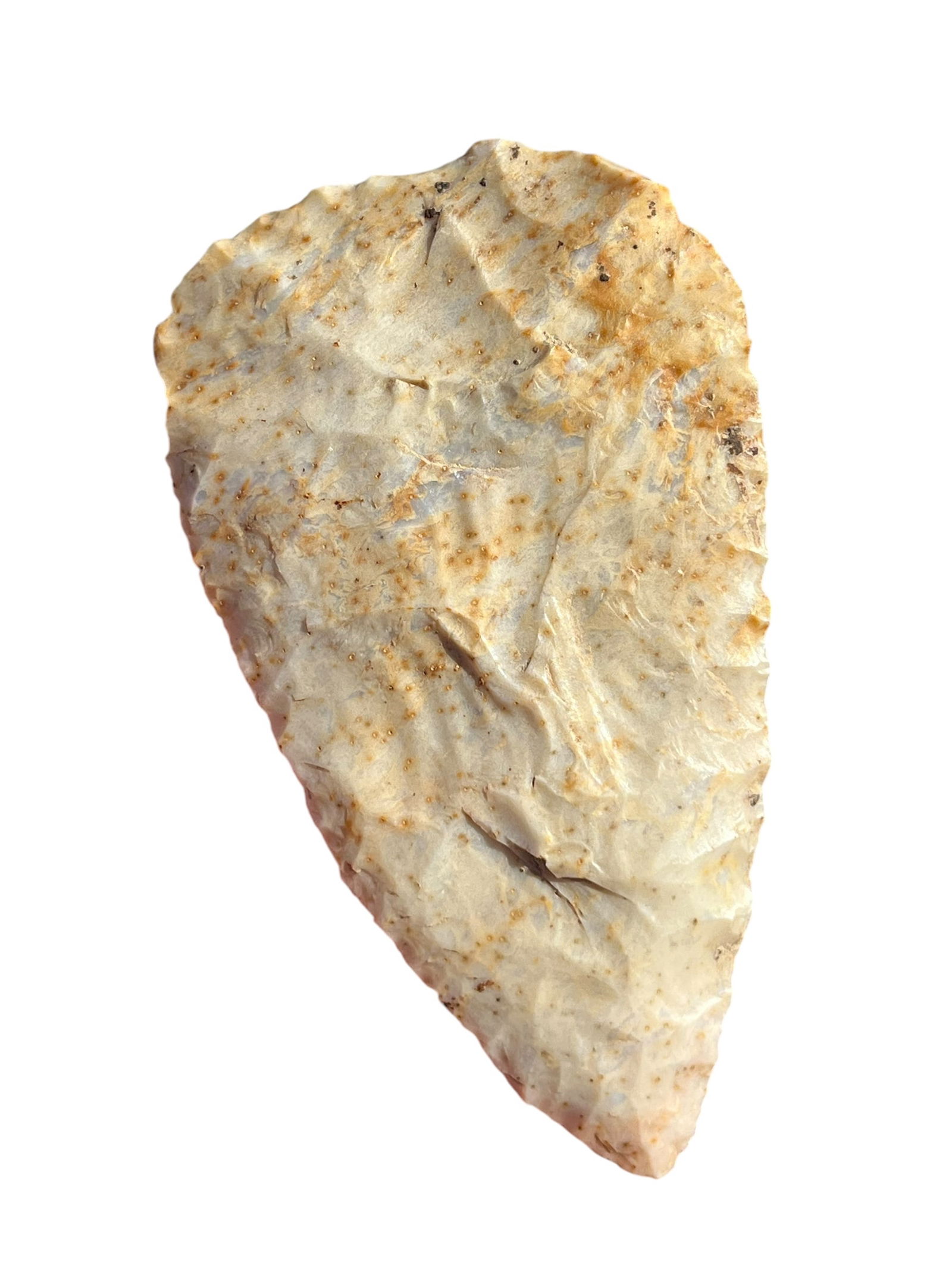 Derby Chert Cobbs Blade. Davis COA. Southern Indiana (1 of 5)