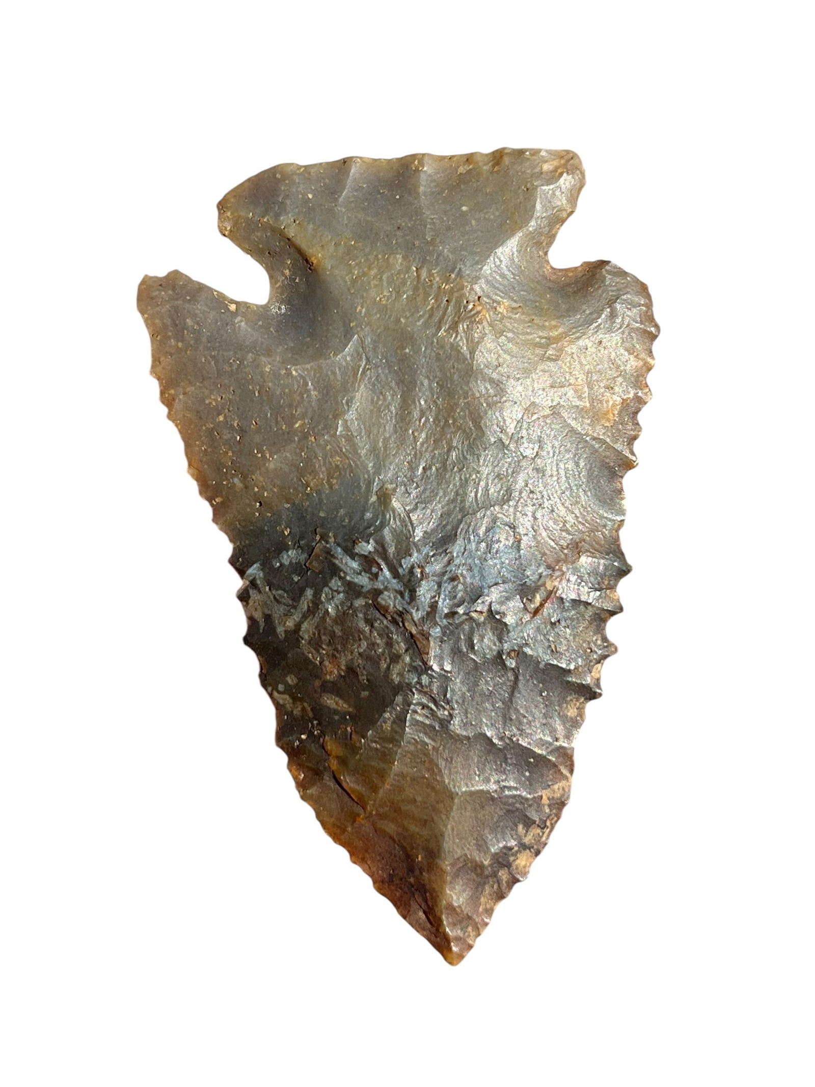 Pinetree Arrowhead. Trimble County, Kentucky (1 of 4)