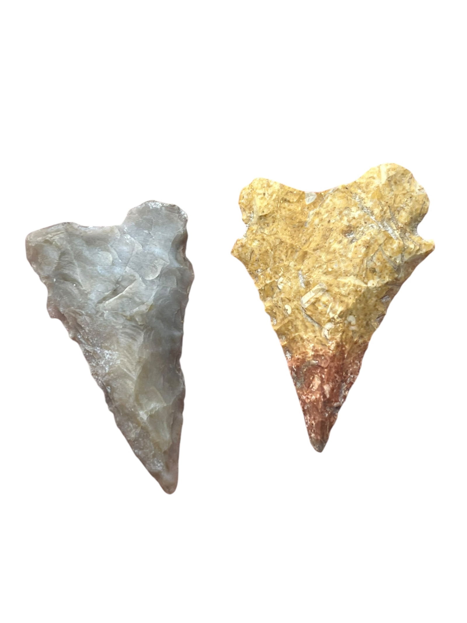 2 Pinetree Arrowheads. Monroe County, IN (1 of 2)
