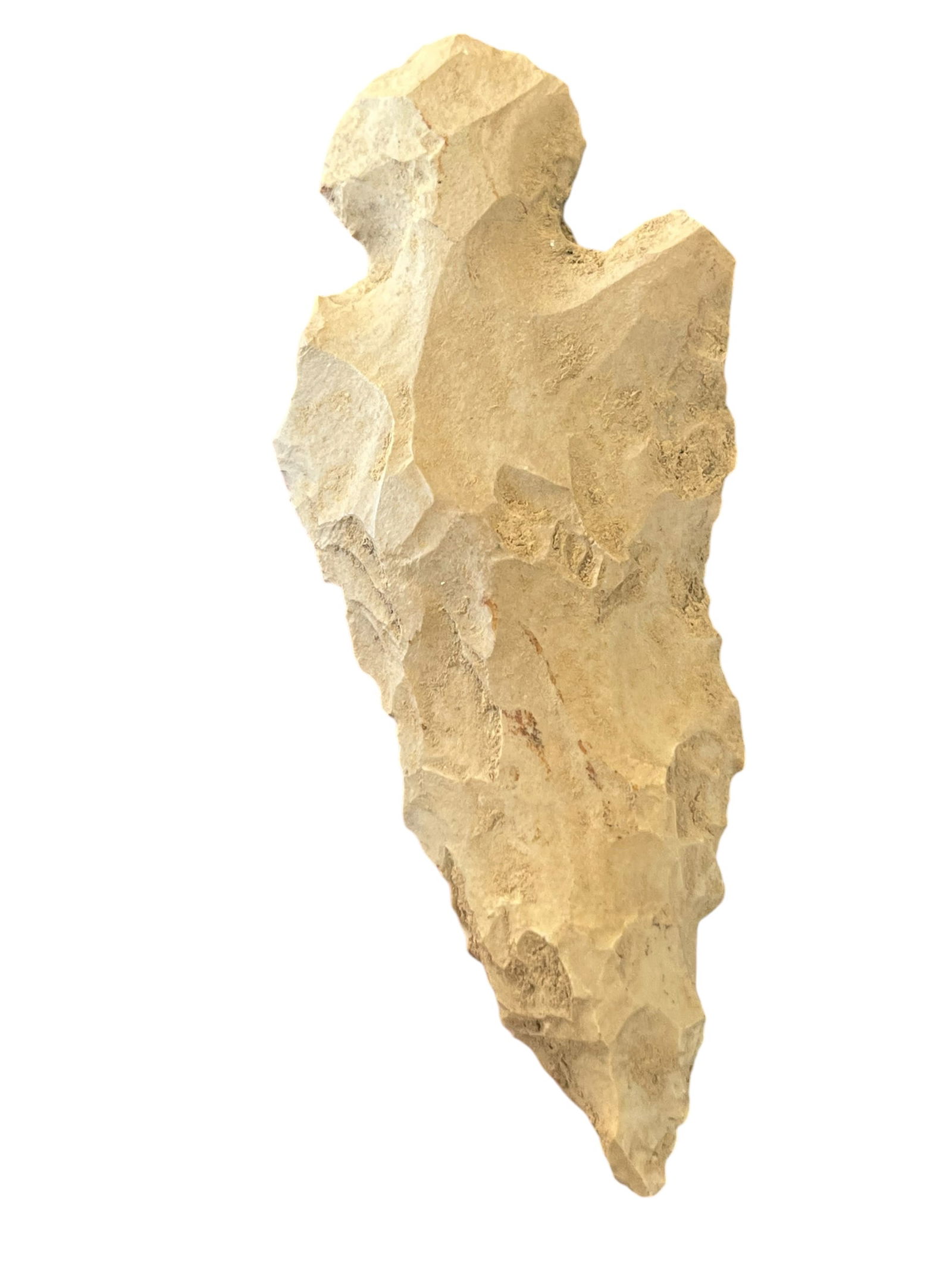 Turkeytail Arrowhead. Harrison Coounty, IN (1 of 3)