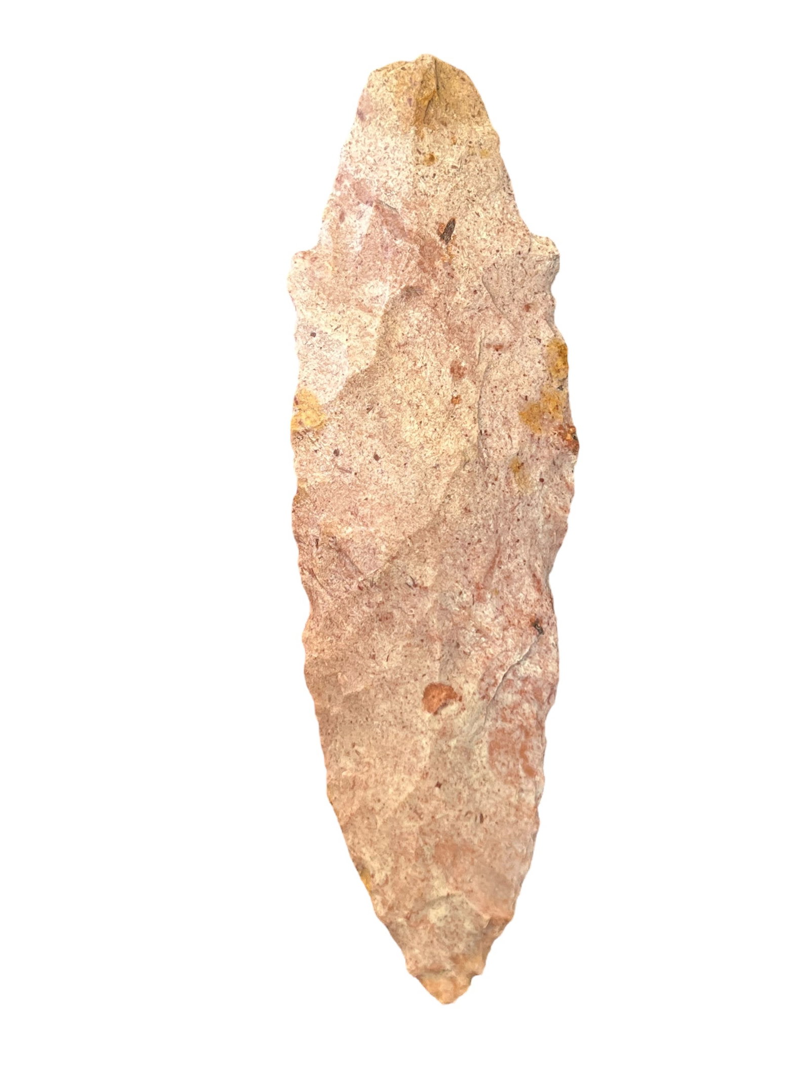 Strawberry Burlington Chert Adena: Strawberry burlington chert adena IL. 1 7/8"