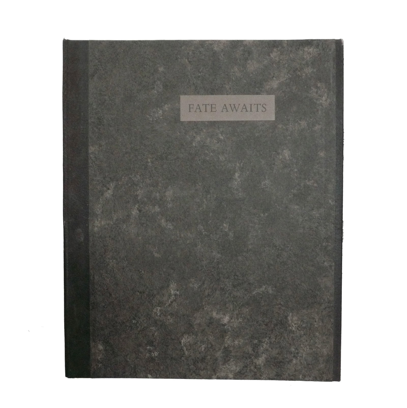 "Fate Awaits" Limited Edition Etchings by Fritz Scholder (1 of 7)