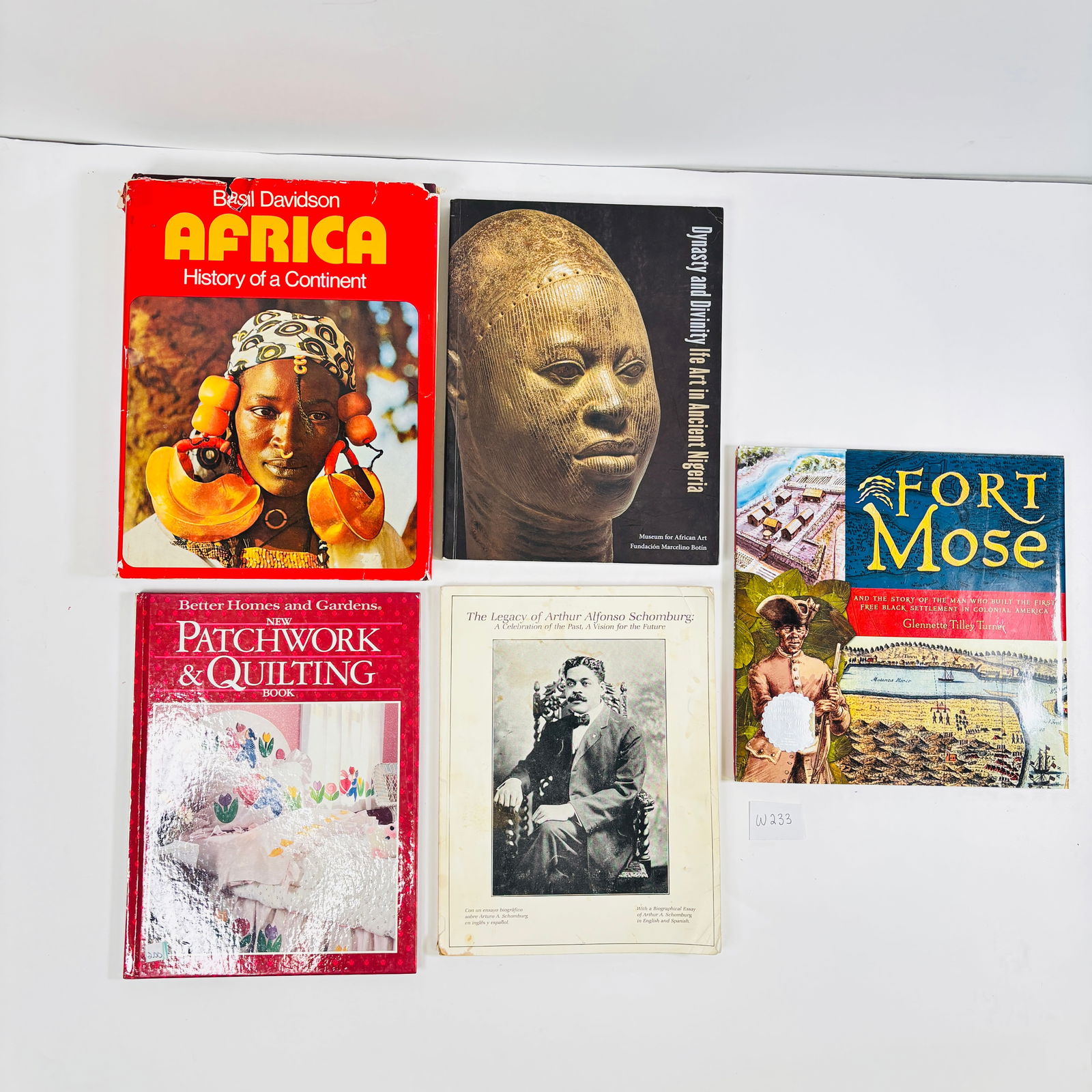 Assortment of Books Set of 5 (Dynasty and Divinity, Africa: History of a Continent and more) (1 of 2)