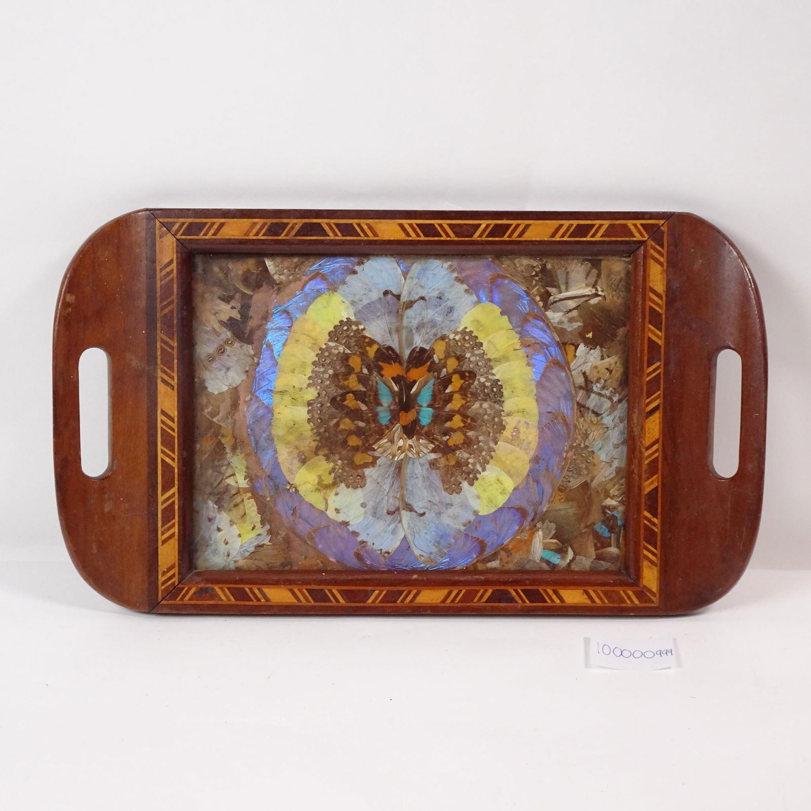 Vintage Brazilian Blue Morpho Butterfly Tray: (1 of 3)