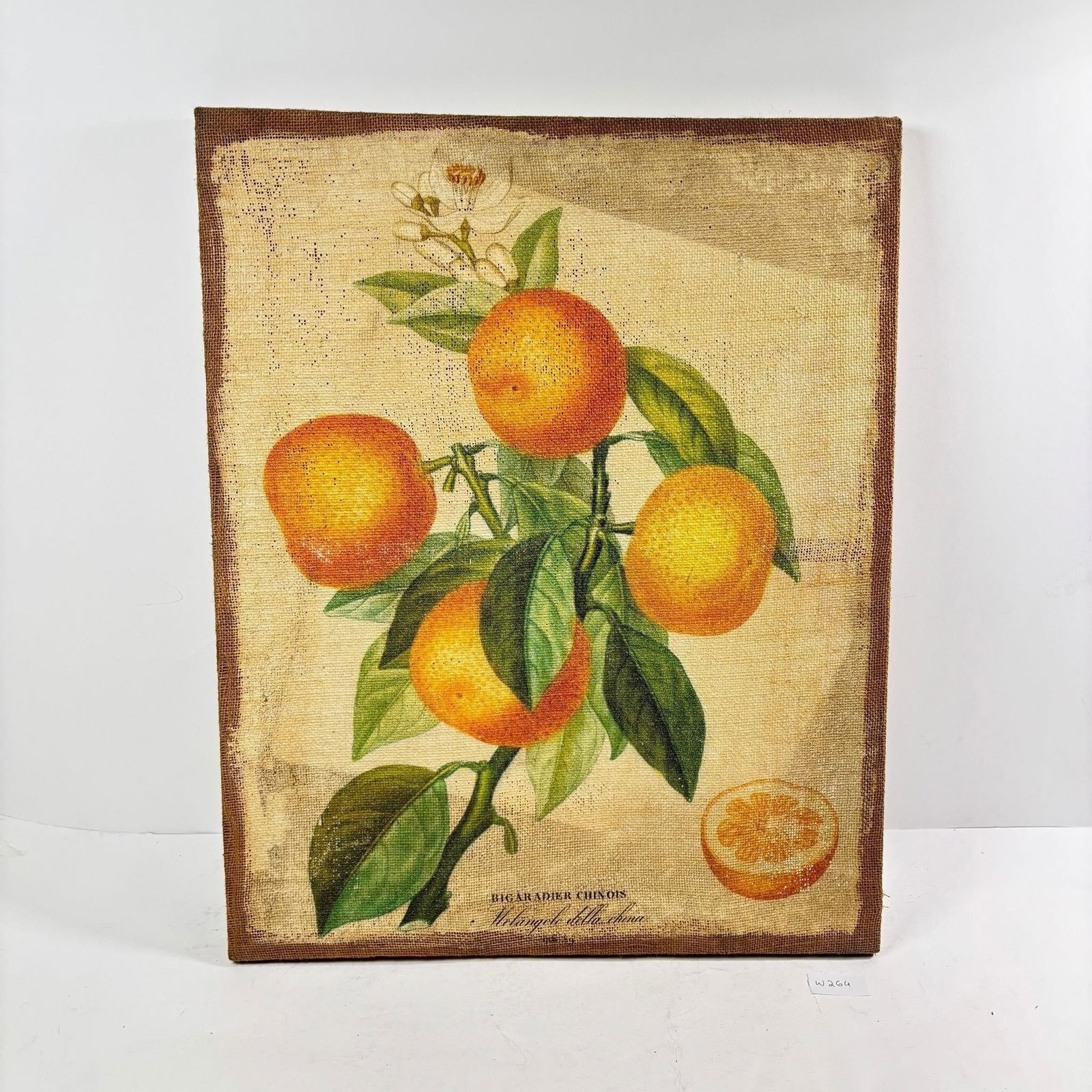 French Orange Botanical lii by A. Risso on a... (1 of 4)