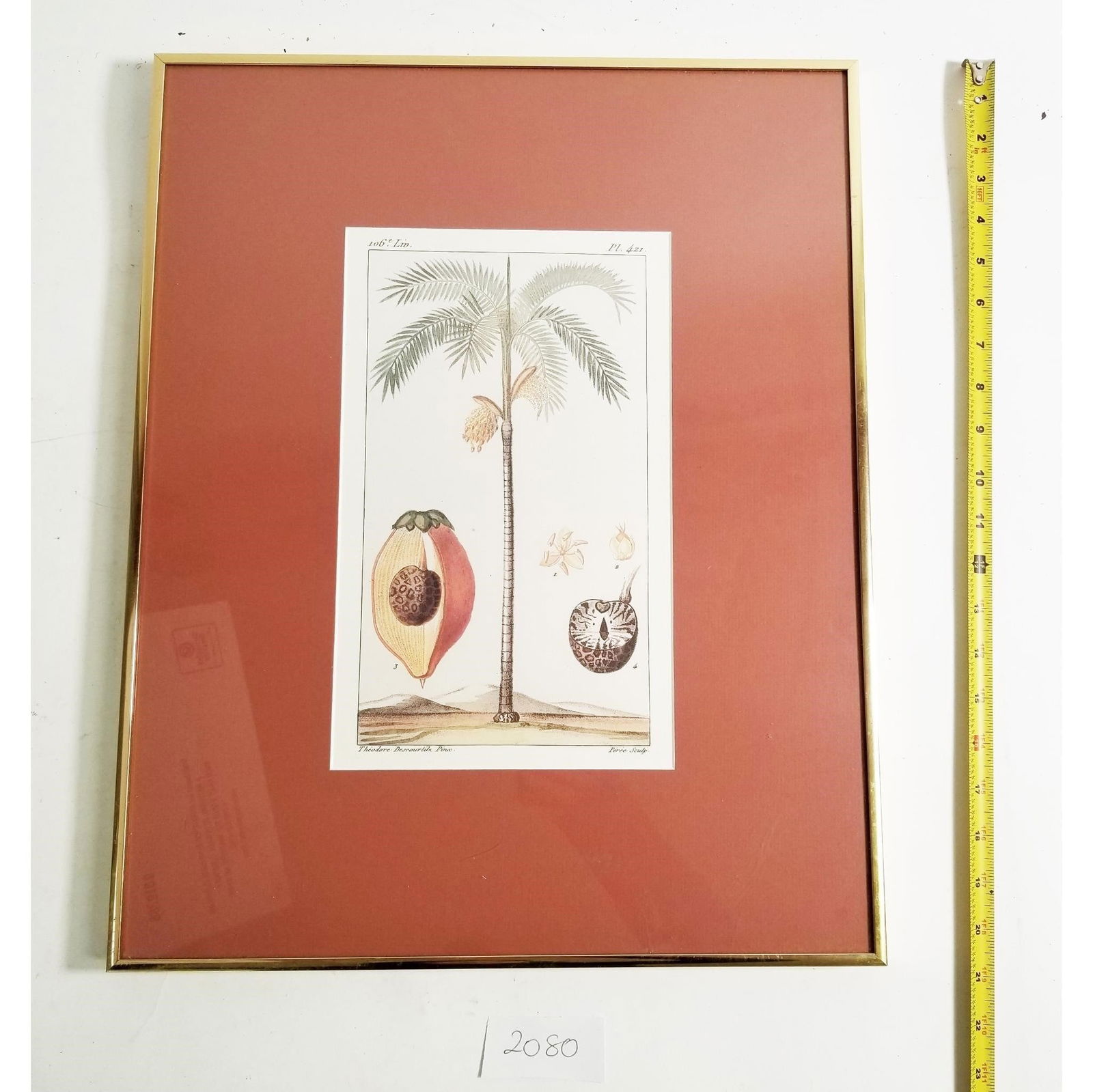 Framed Botanical Palm Print Classic Reproduction (1 of 3)
