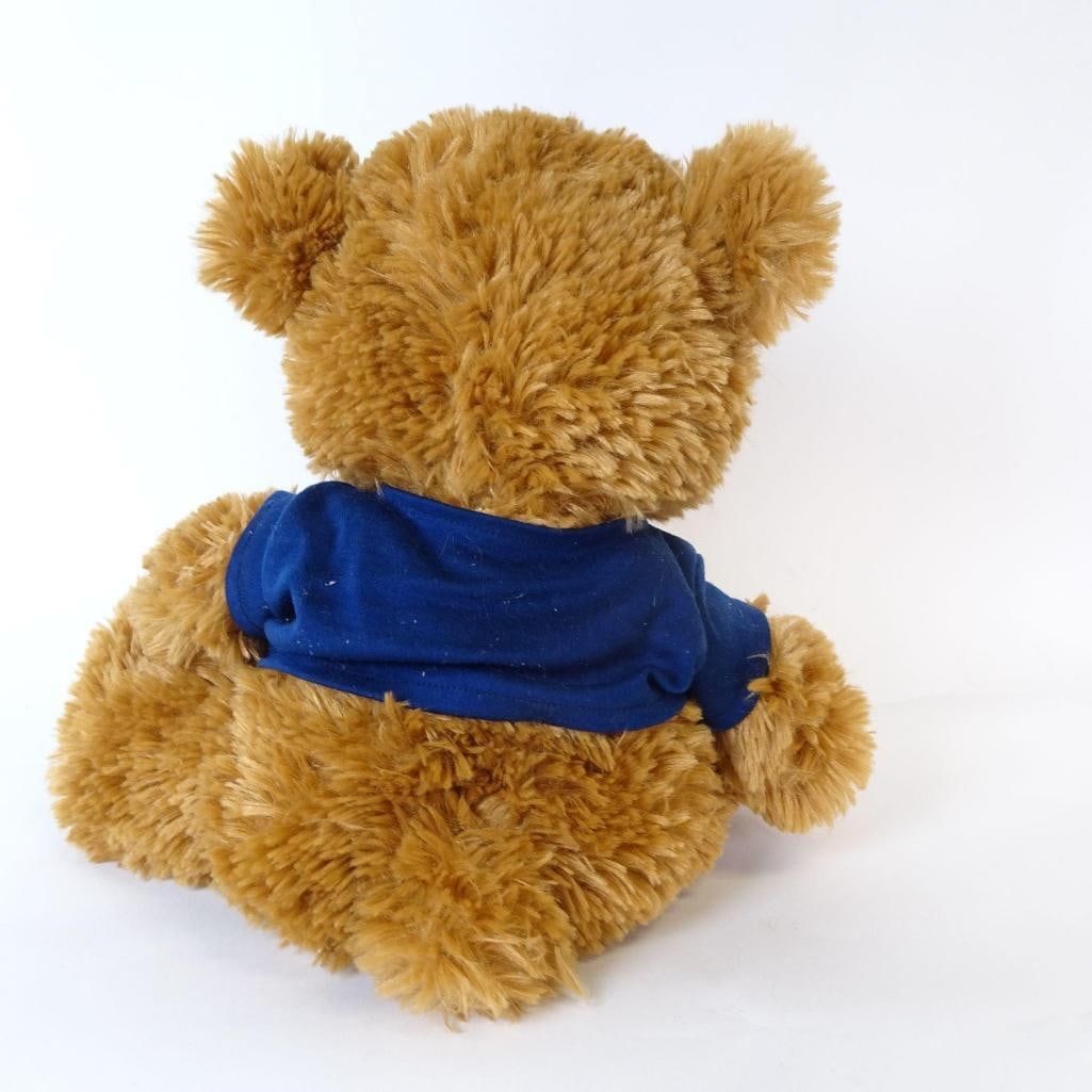 2 Plush Bears - Teddy & Lion Stuffed Toys: Set of two soft plush toys: a classic teddy bear and a cute lion. Both are pre-owned and in good condition, with light signs of use. Perfect for kids, collectors, or as charming vintage-style stuffed