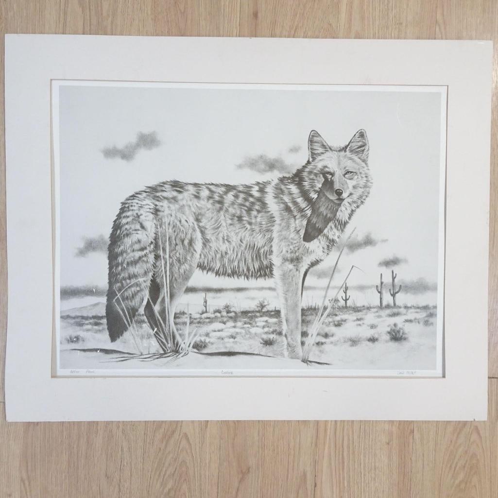 Original Graphite Drawing "Coyote": Original graphite drawing titled "Coyote" by Dan Miller. This piece is marked "Artist Proof" and hand-signed by the artist in pencil. The artwork depicts a detailed coyote standing in a desert
