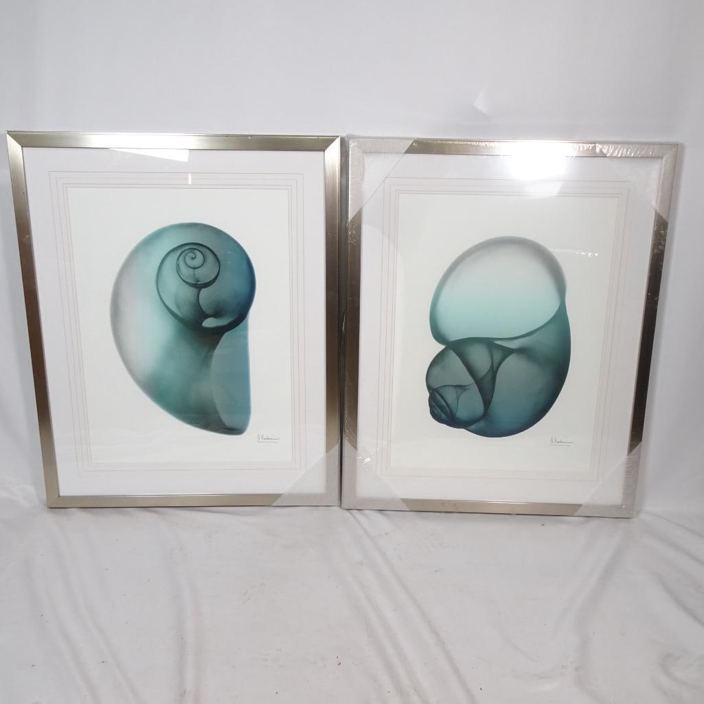 Set of 2 Large Framed Shell Wall Art: Set of two large framed modern shell artworks featuring abstract spiral forms in rich blue-green tones. The soft gradients and clean gallery framing create a sophisticated coastal-modern aesthetic. De