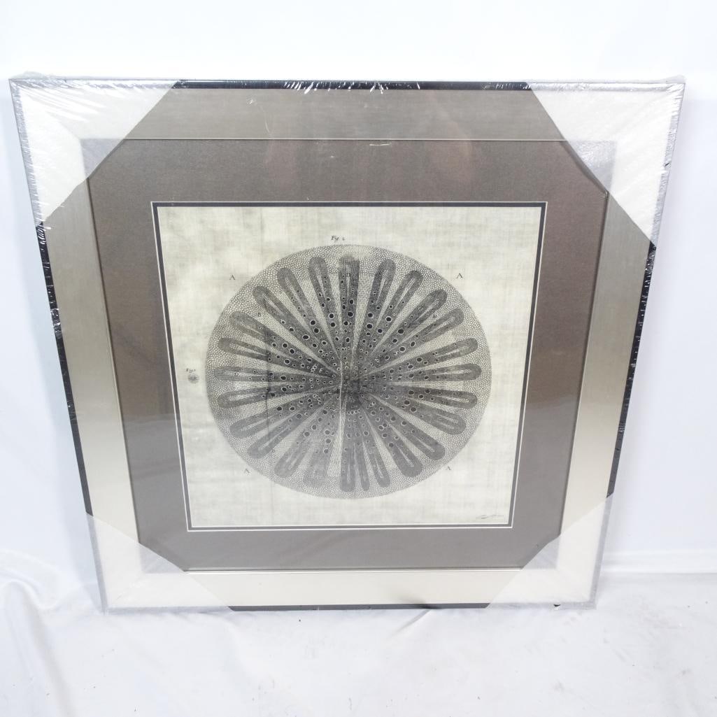 Large Framed Botanical Scientific Print: Large framed botanical-style scientific illustration featuring a detailed circular plant cross-section design in soft neutral tones. The symmetrical composition and square format create a modern,