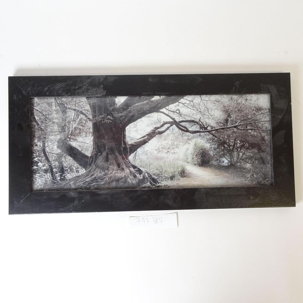 Panoramic Framed Wall Art: Stylish panoramic wall art featuring an old tree and a quiet forest path in soft, muted tones. Framed in a black frame and ready to hang with a metal hanging bracket on the back. A calm,