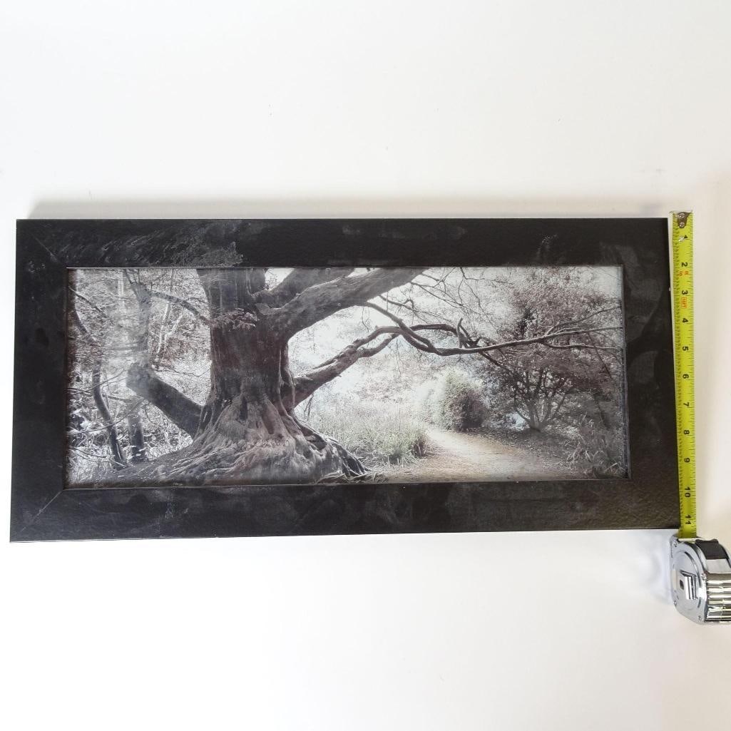 Panoramic Framed Wall Art - 4