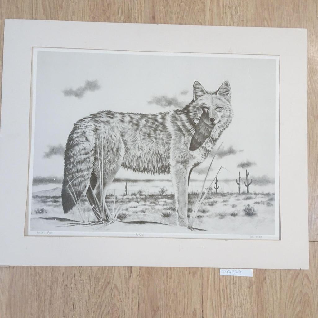 Original Graphite Drawing "Coyote" - 11