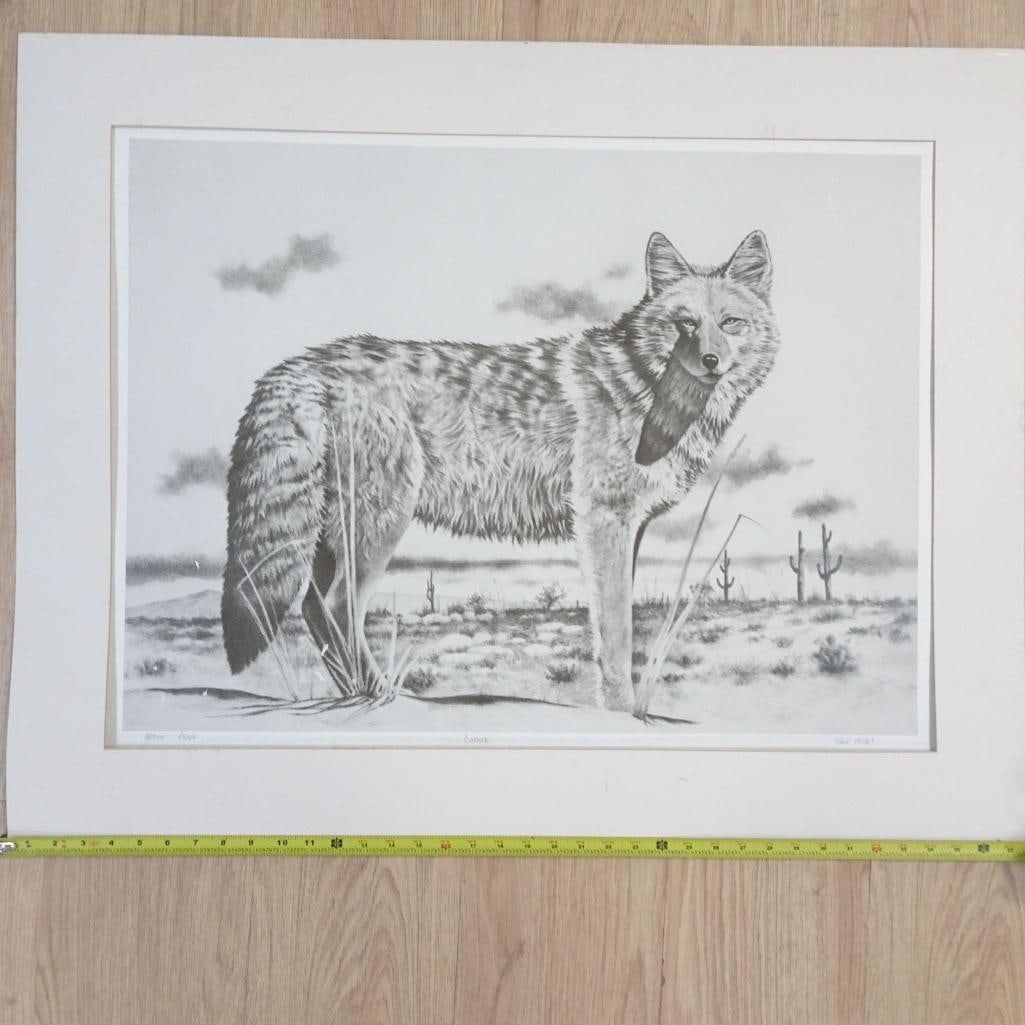 Original Graphite Drawing "Coyote" - 7