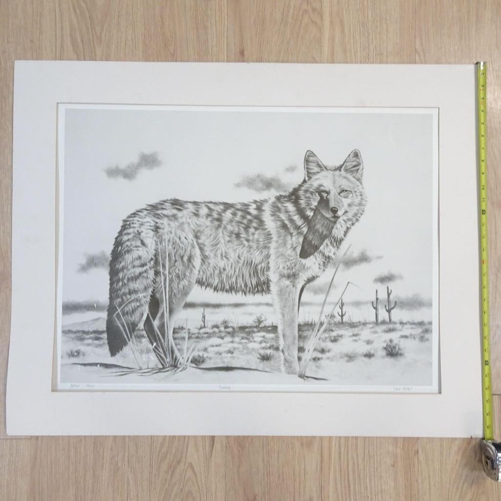 Original Graphite Drawing "Coyote" - 9