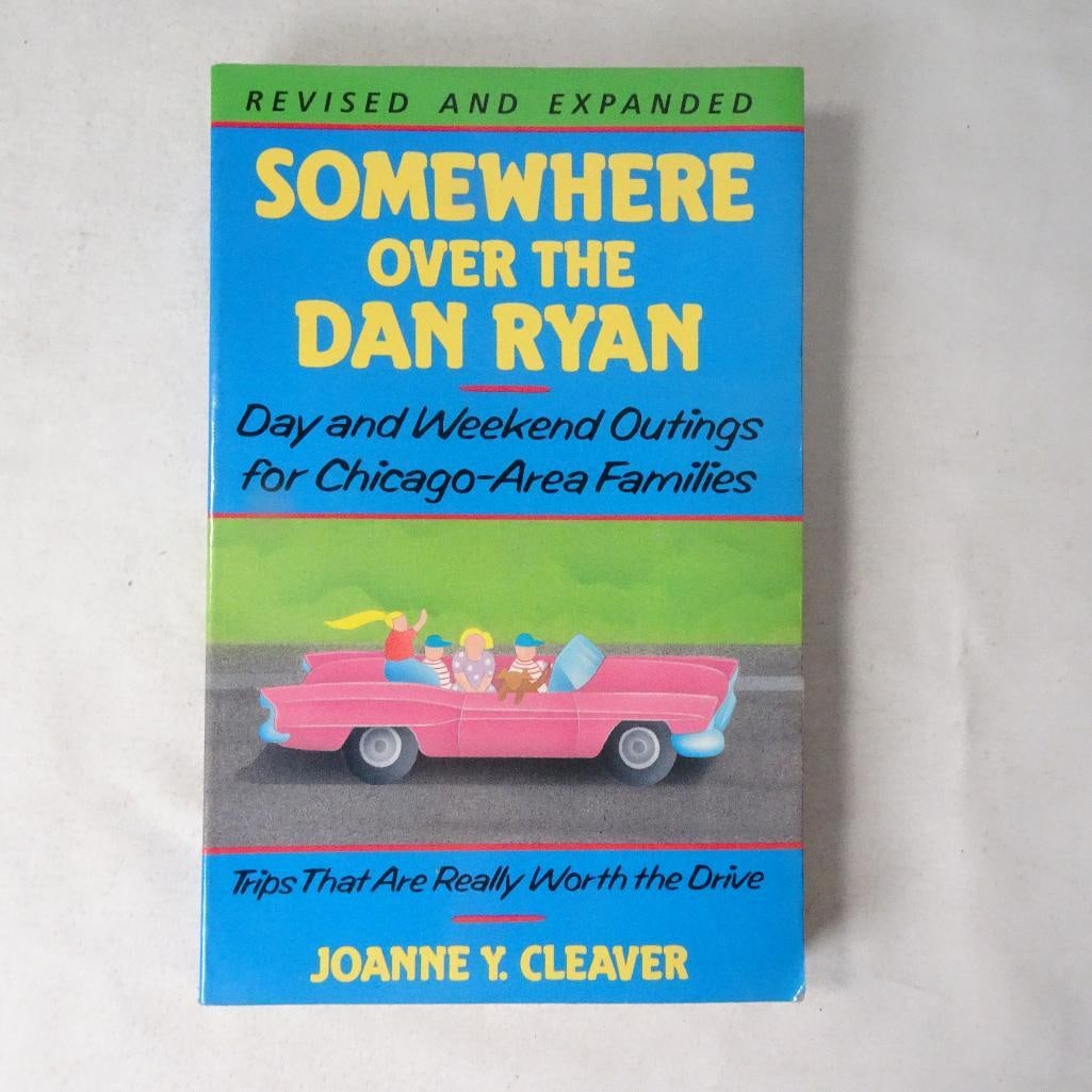 Somewhere Over the Dan Ryan by Joanne Y. Cleaver Chicago Family Travel Guide (1 of 3)