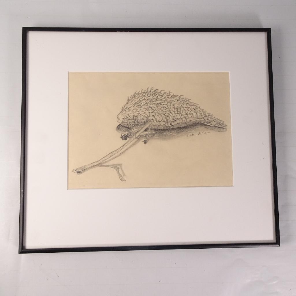 Original Pencil Drawing Hedgehog Signed Krist Miller Framed Wildlife Art 16x13: Original signed pencil drawing featuring a hedgehog resting on a branch. Professionally matted and framed under glass in a black metal frame. Signed by the artist (appears to read Krist Miller). A cha