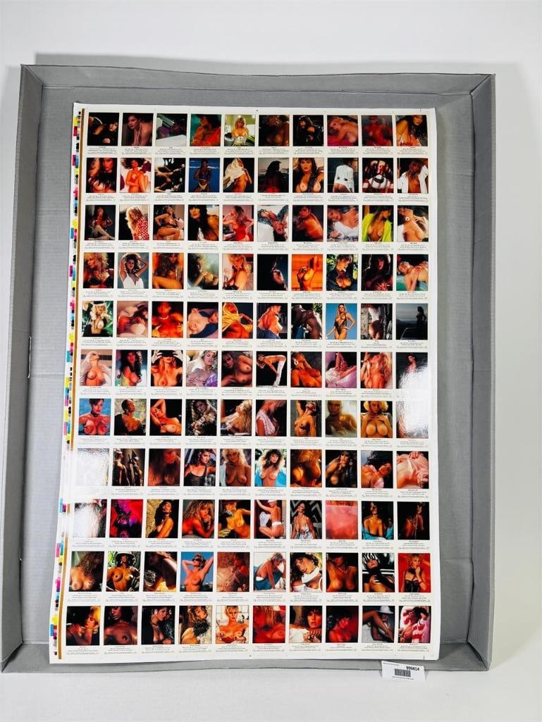 Penthouse Trading Cards Uncut Printer's Proofstrip: extraordinarily rare uncut trading card sheet from the Penthouse Collectors Series. Unlike standard individual cards, this is a full, intact sheet featuring multiple iconic Penthouse Pets and models. 