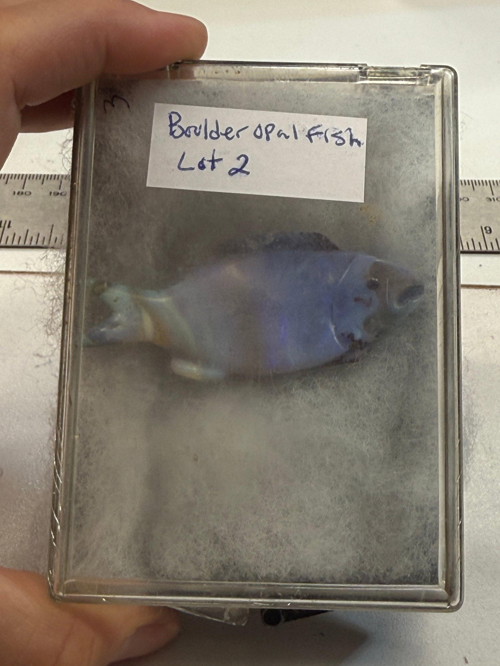 Large Boulder Opal Fish - 5