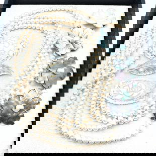 Jewelry Group Natural Pearl Necklace Mother of Pearl Flowers Carved Pearl Brooches: Jewelry Group Natural Pearl Necklace Mother of Pearl Flowers Carved Pearl Brooches