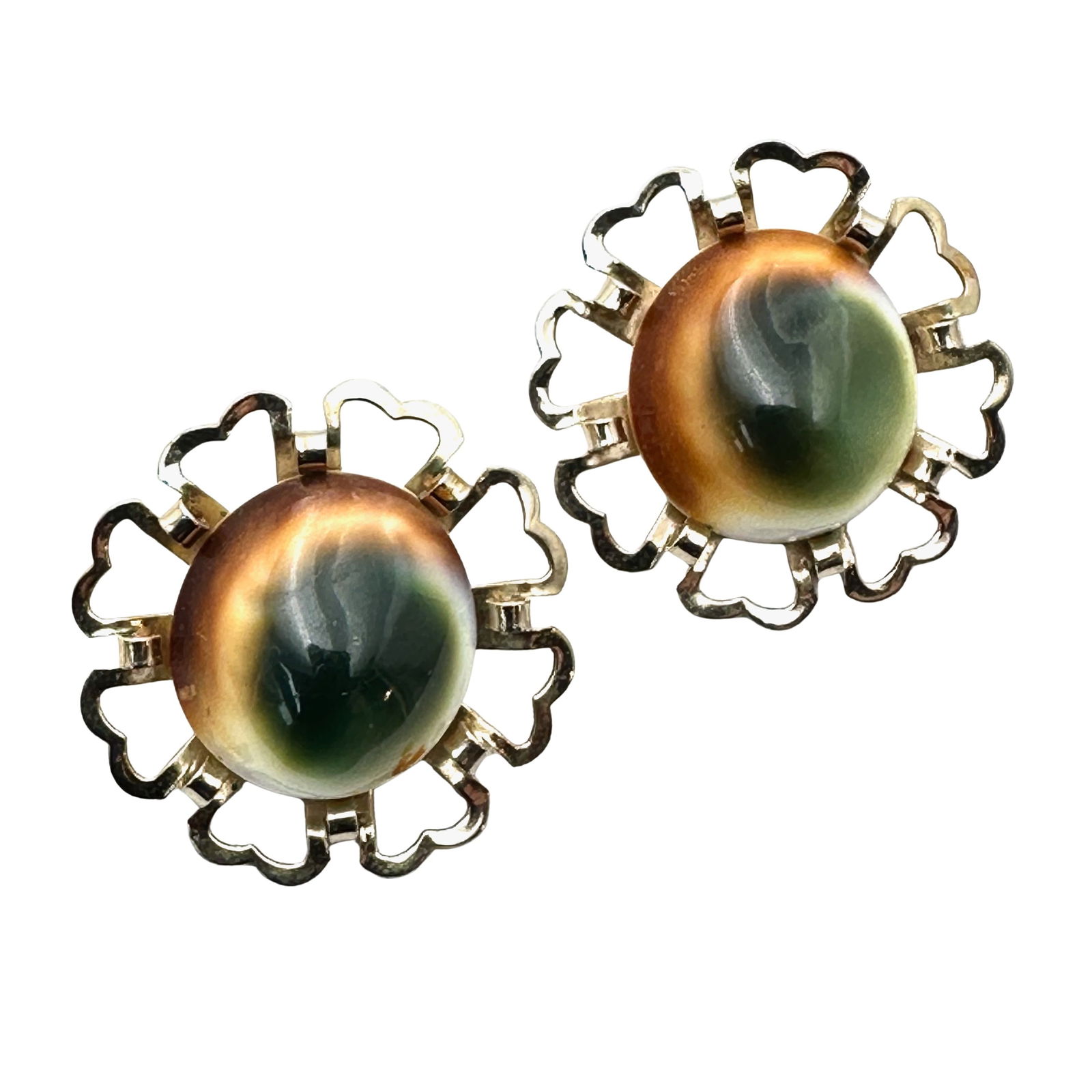 Vintage Operculum Shell Gold Tone Clip Earrings 1 Inch: Vintage Operculum Shell Gold Tone Clip Earrings 1 Inch