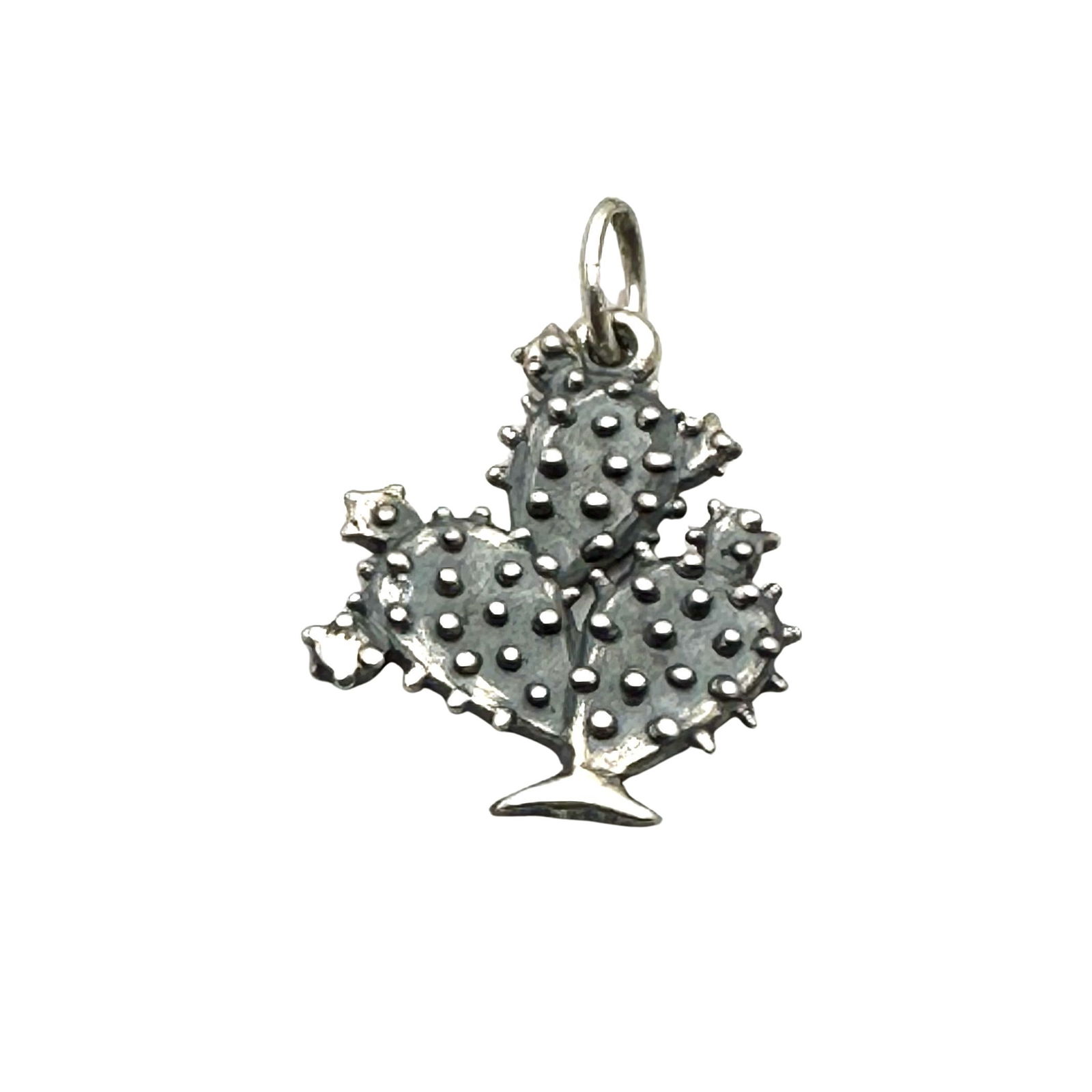 James Avery Cactus Southwest Sterling Silver Charm Pendant 3/4 Inch (1 of 2)