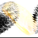 Antique Victorian Gold Filled Bangle Bracelet Etched Floral Design Fits Up to 7.5 Inch Vintage