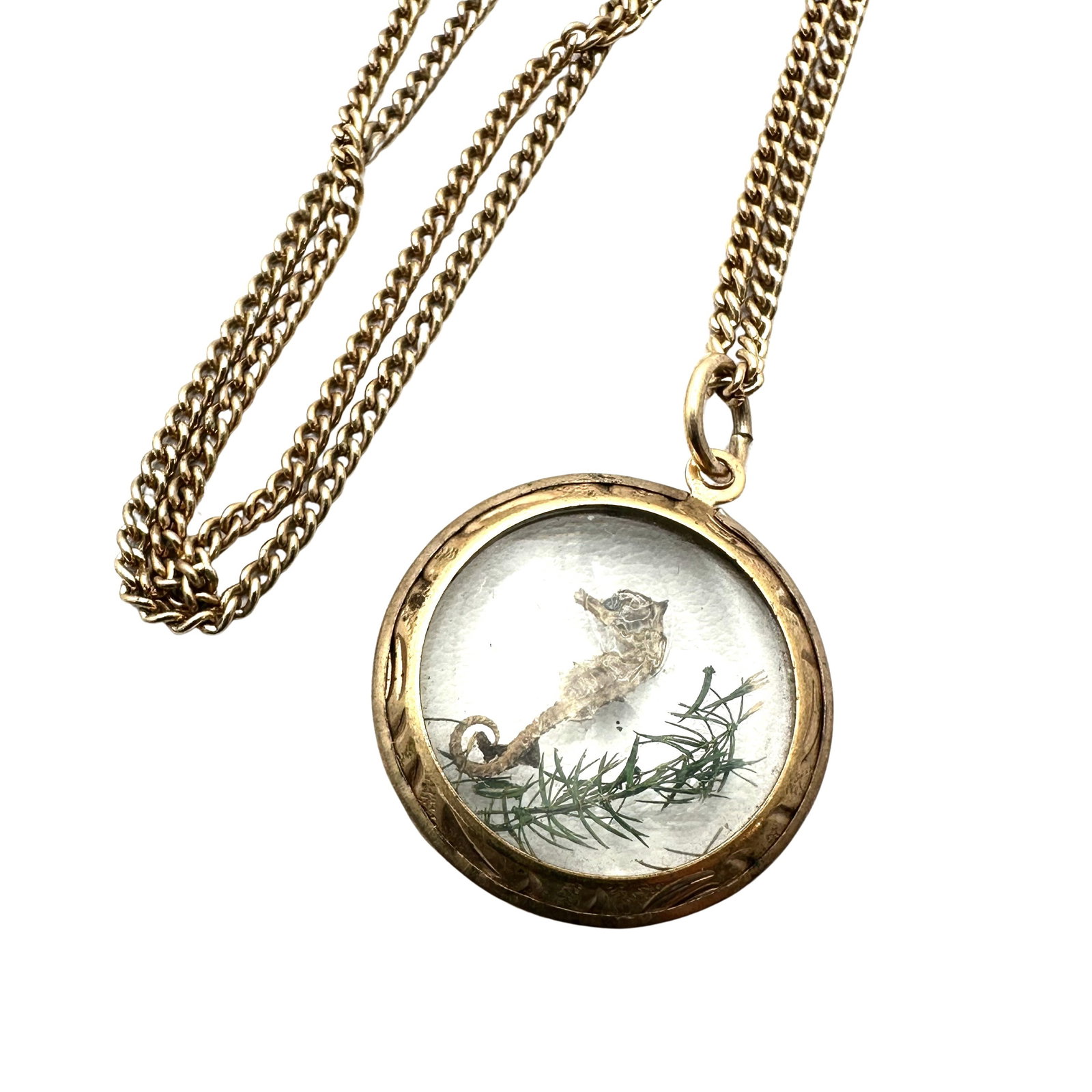 Vintage Gold Filled Sea Horse Pendant Necklace Beach Souvenir 16 Inch Chain: Vintage Gold Filled Sea Horse Pendant Necklace Beach Souvenir 16 Inch Chain