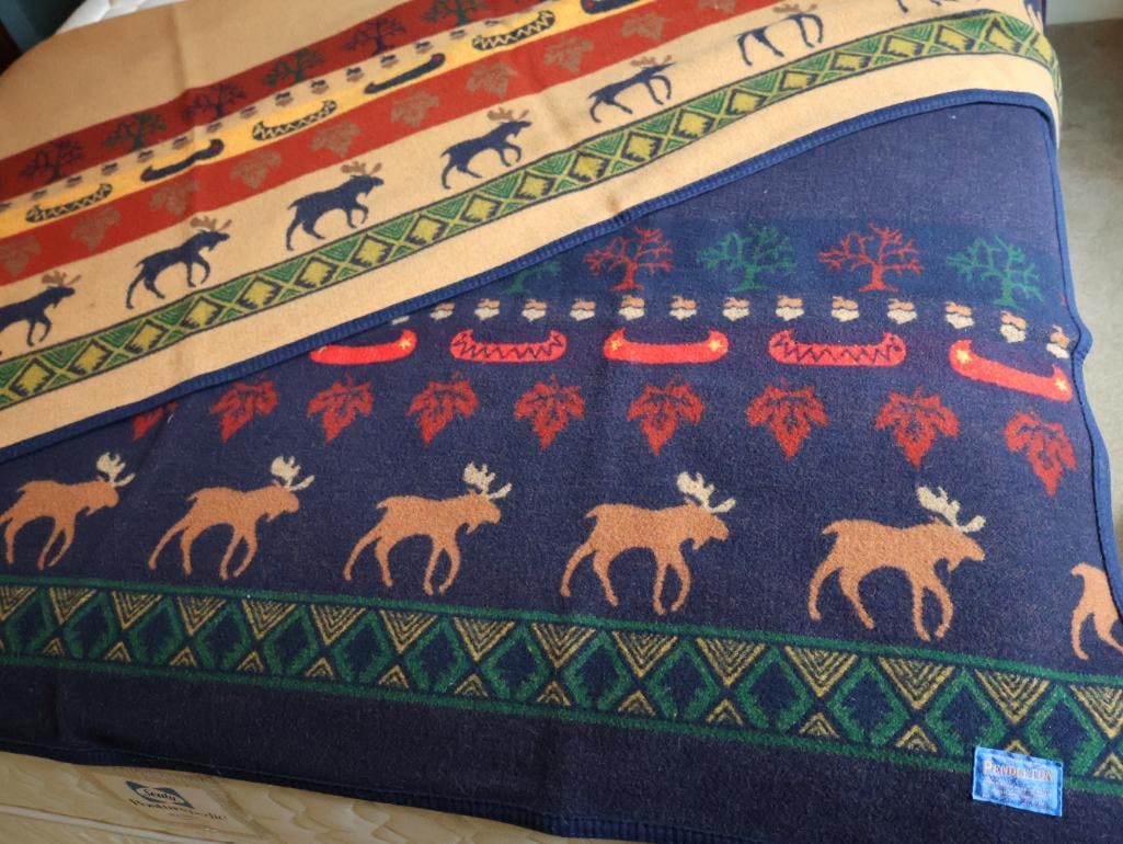 Rustic Cabin Pendleton Blanket (1 of 7)