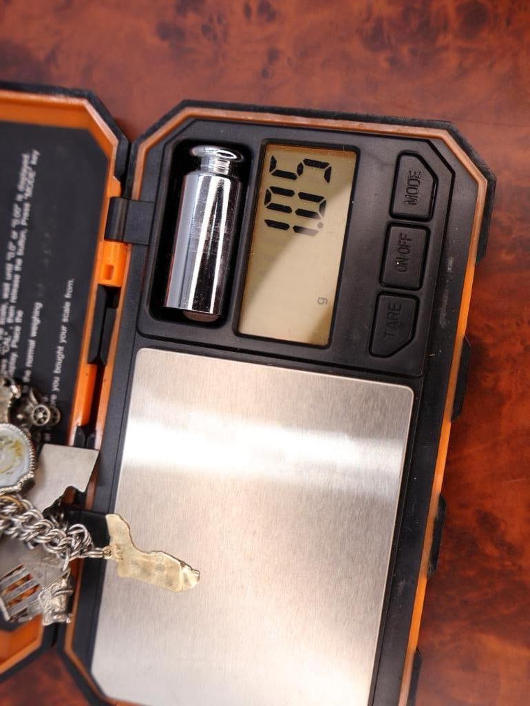 Vintage sterling silver charm bracelet with lots of Charms Including 14k Gold Florida Charm - 13