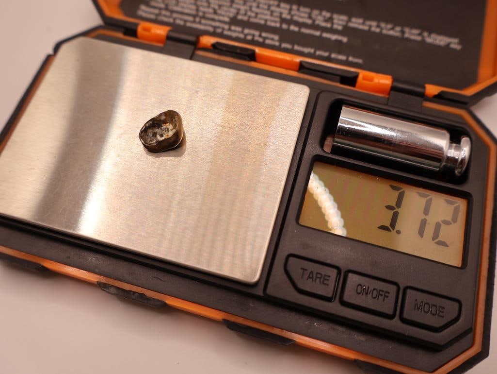 Two Gold Teeth and Dental Mold Tooth - 5