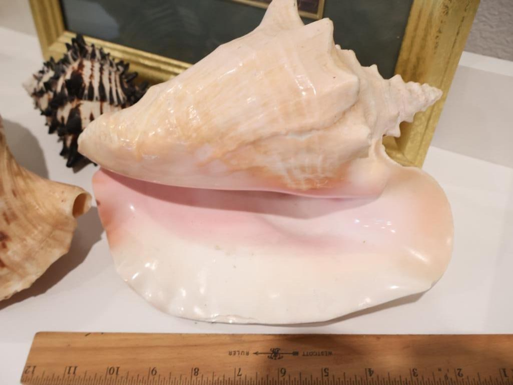 Classic collection of vintage-style home decor - 6