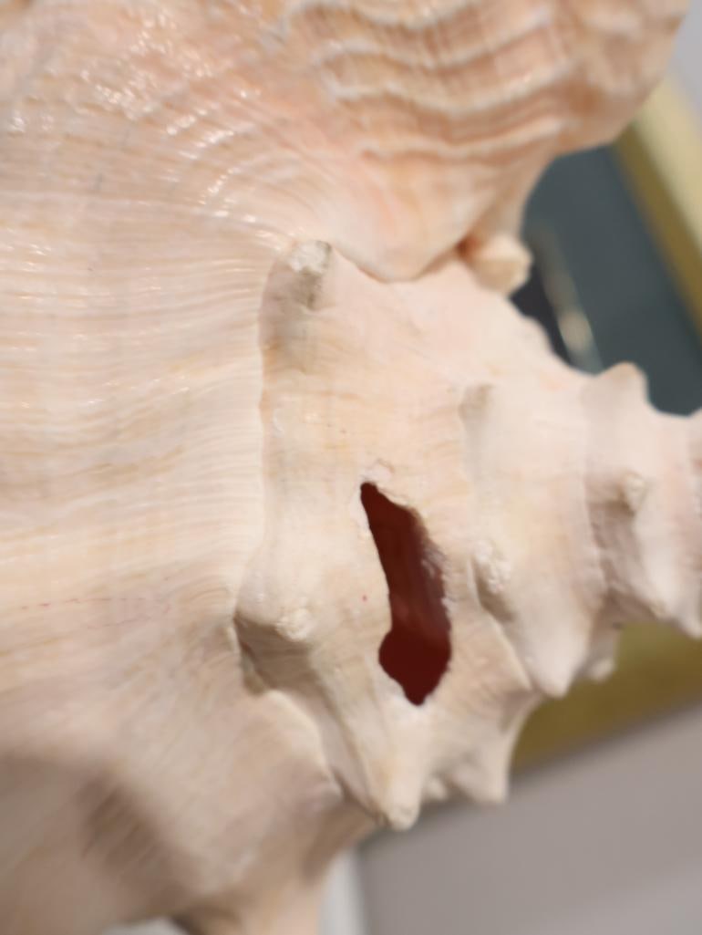 Classic collection of vintage-style home decor - 7