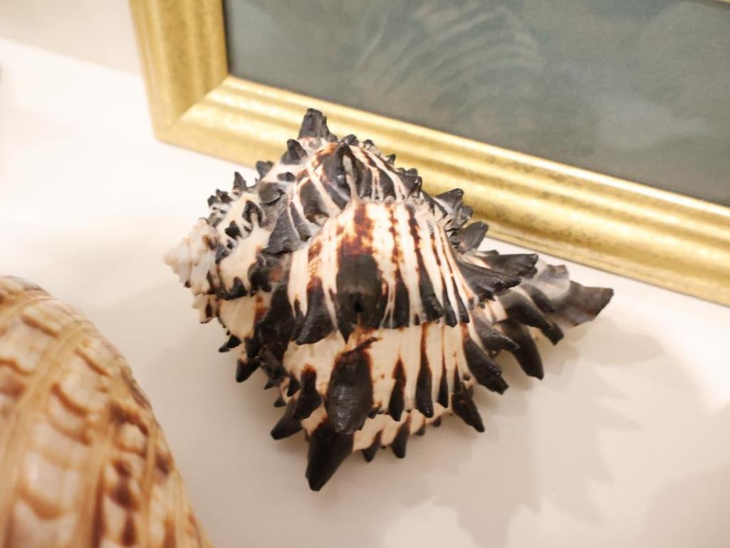 Classic collection of vintage-style home decor - 8