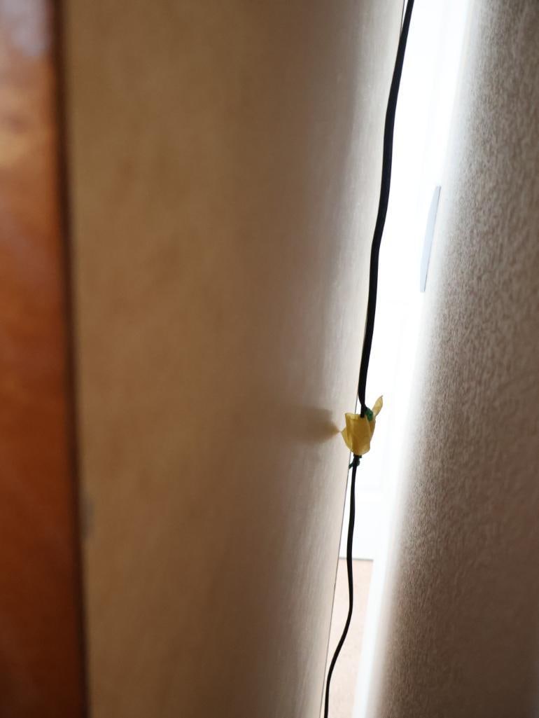 Philip Reinisch Co. Octave Curio Cabinet - 7