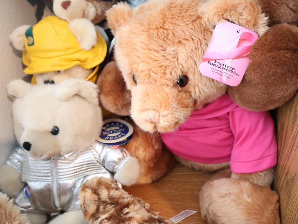 Diverse collection of themed plush toys - 6