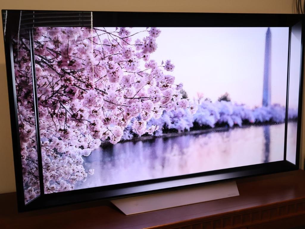 65" LG C7 OLED Extremely Thin Profile TV - 8