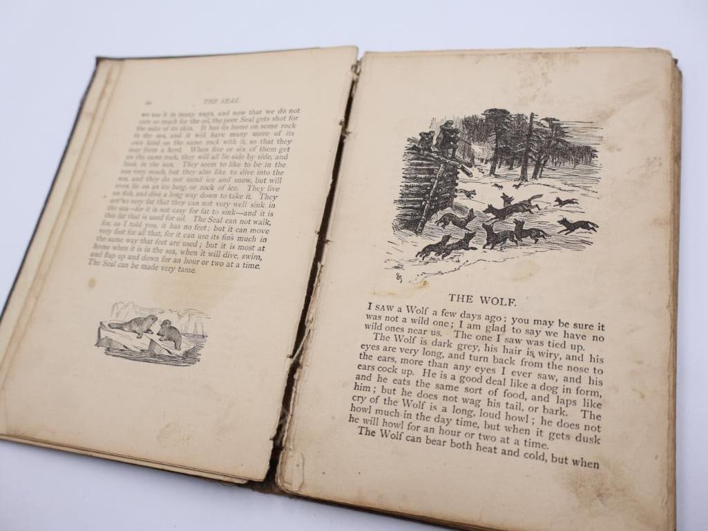 Antique Mirror and Children's Books - 10