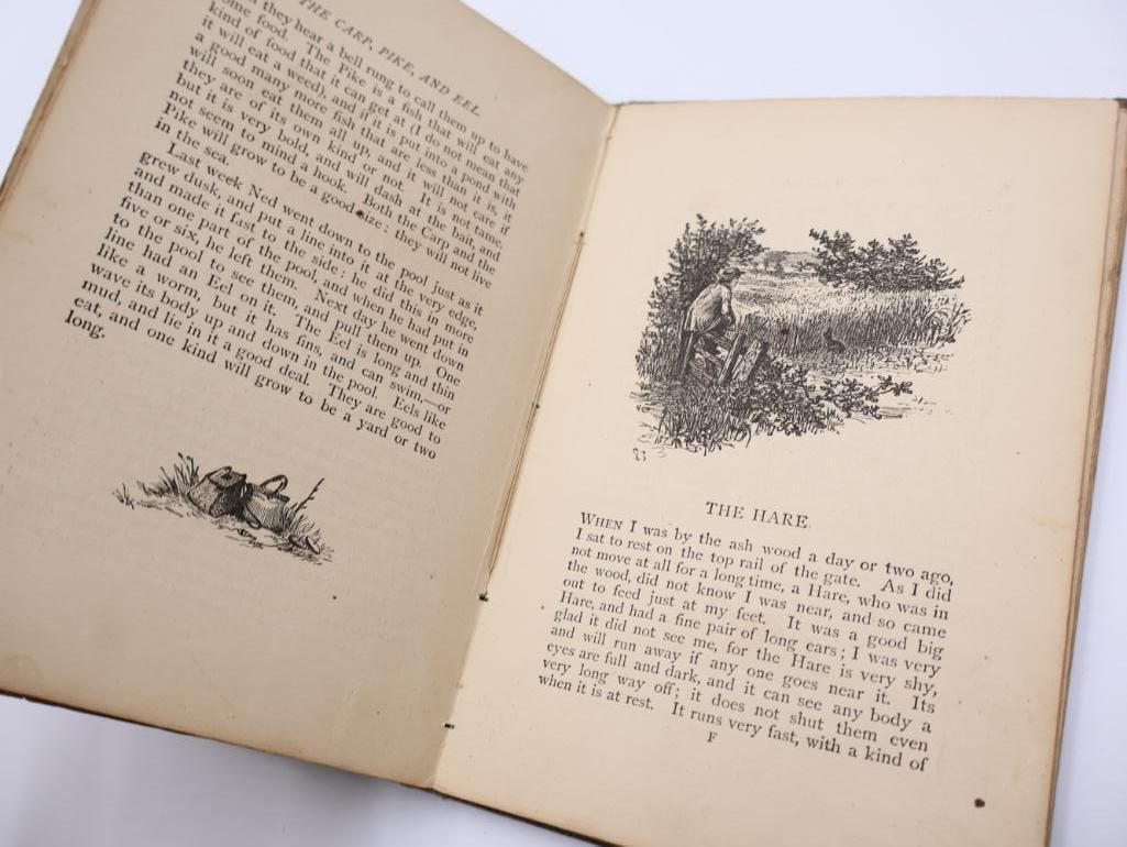 Antique Mirror and Children's Books - 11