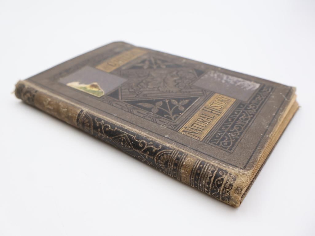 Antique Mirror and Children's Books - 6