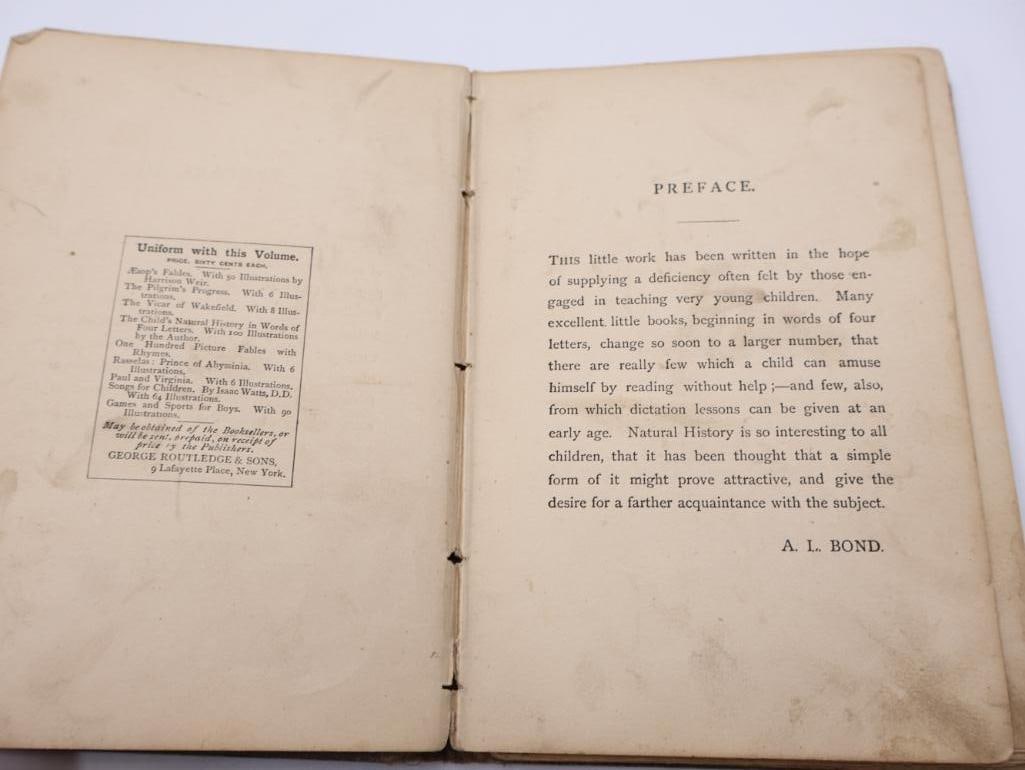 Antique Mirror and Children's Books - 8