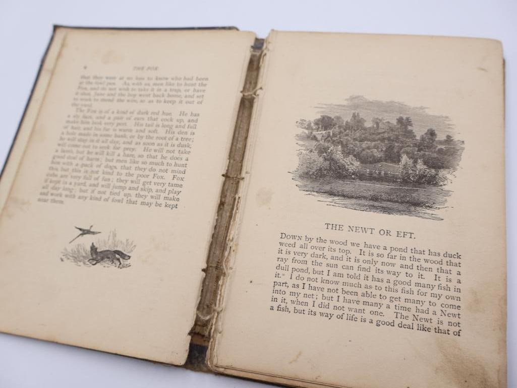 Antique Mirror and Children's Books - 9