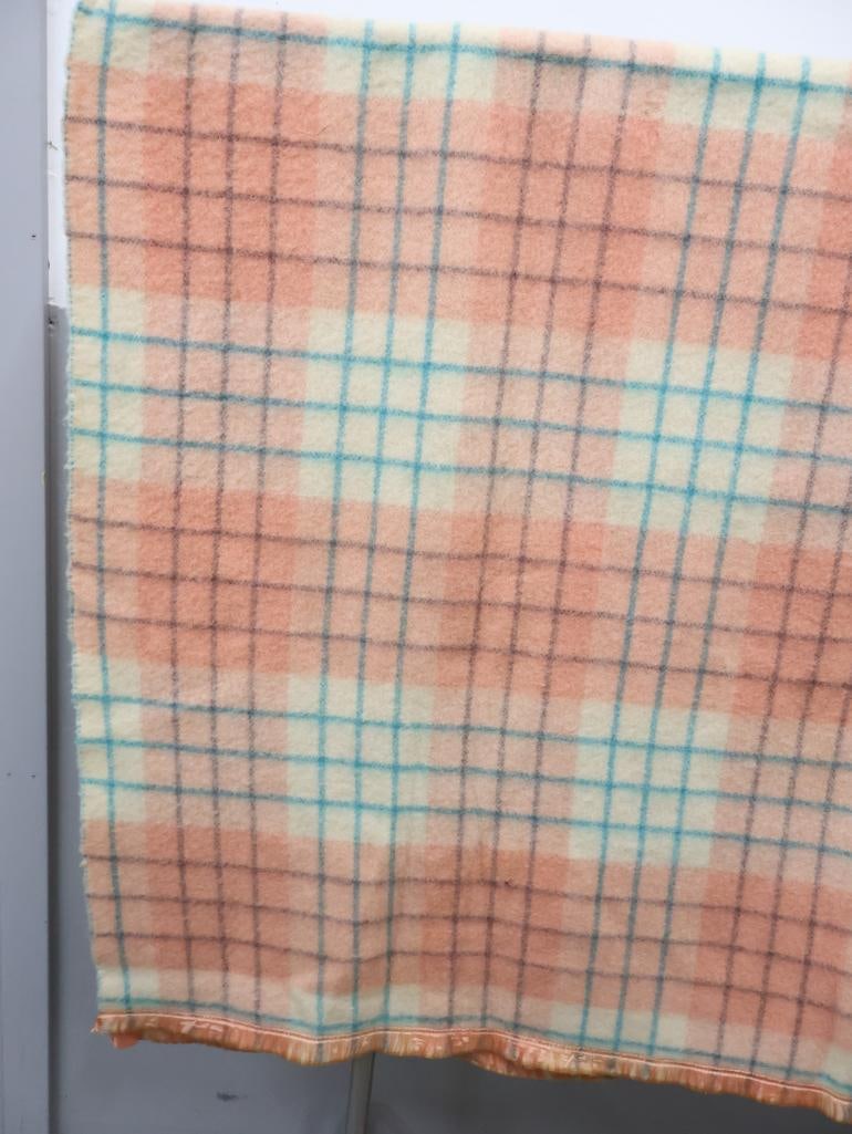 Vintage Jacobs Oregon City Virgin Wool Blanket - 2