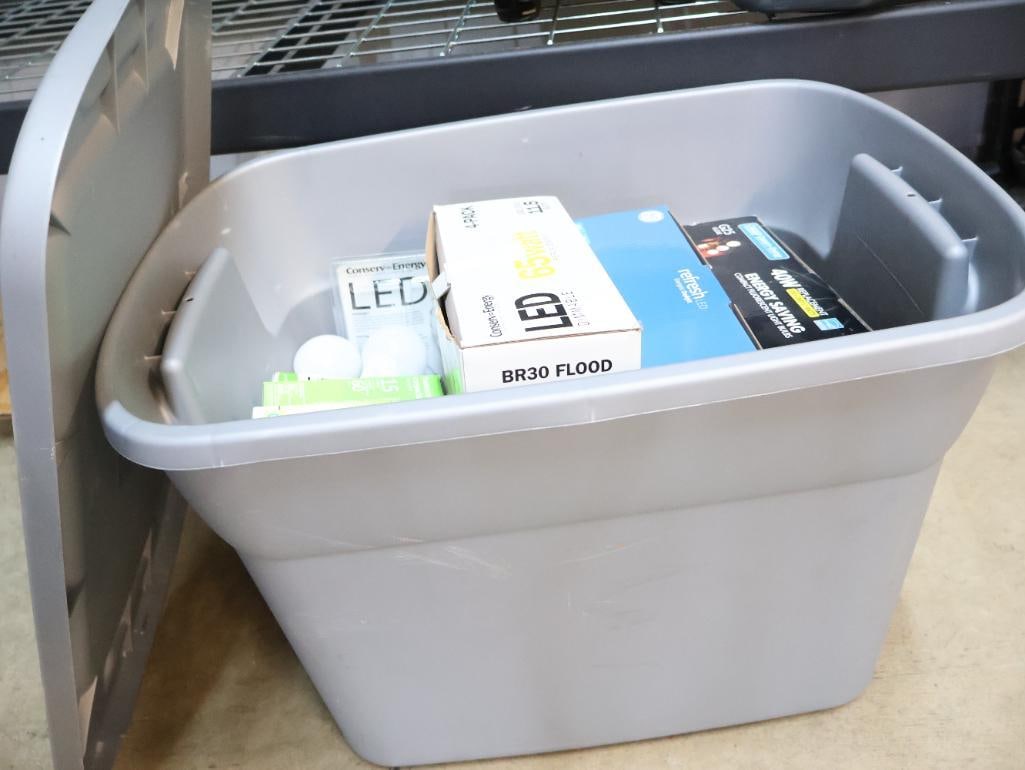 Tote Full of Lightbulbs - 2