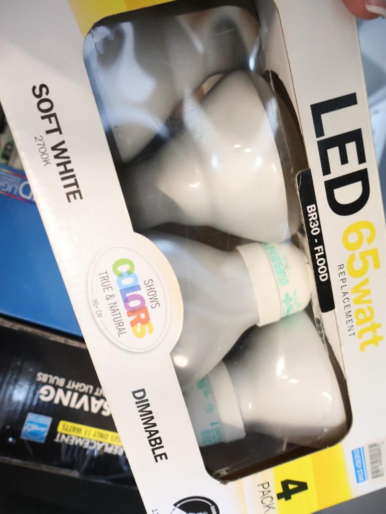 Tote Full of Lightbulbs - 3