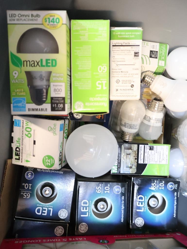 Tote Full of Lightbulbs - 4